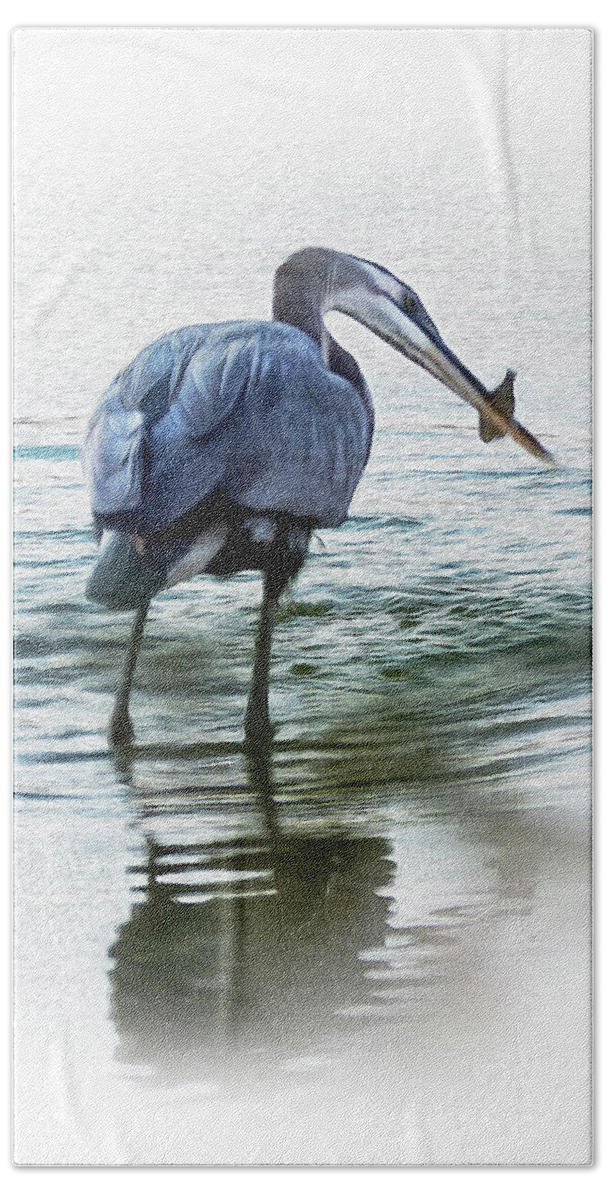2d Beach Towel featuring the photograph Great Blue Heron With Fish by Brian Wallace