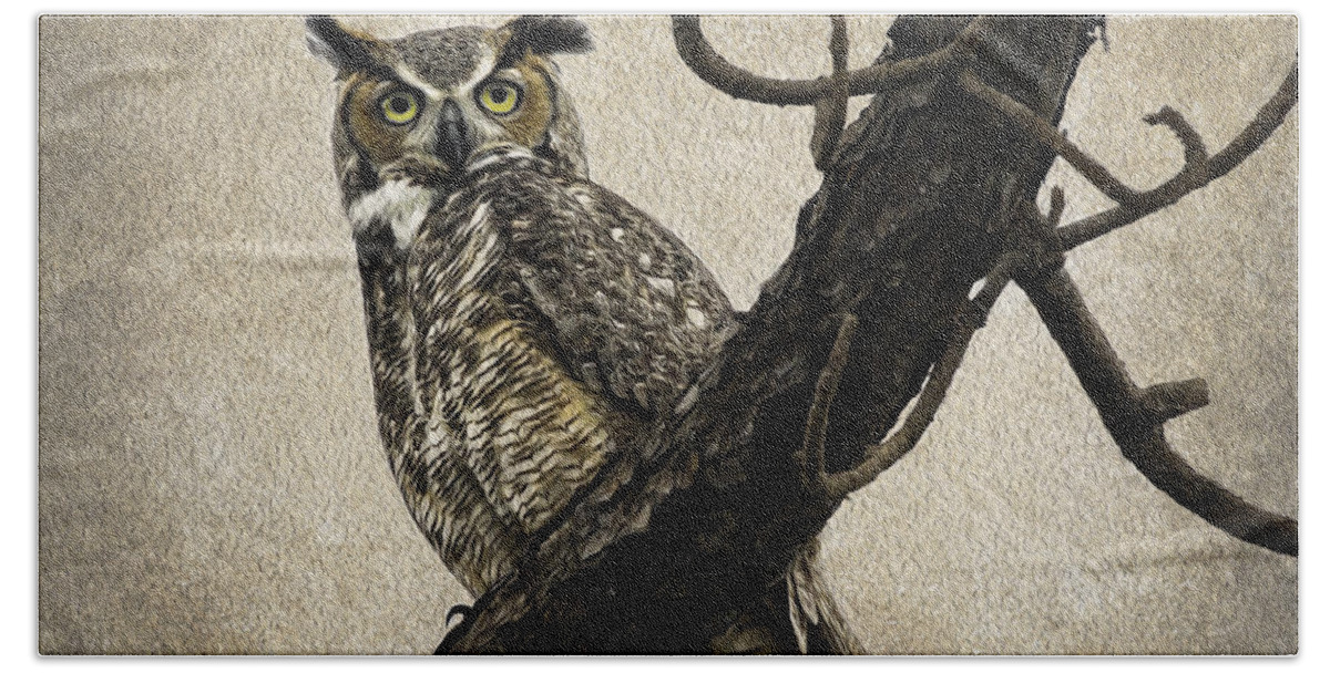 Birds Beach Sheet featuring the photograph Great Horned Owl by Betty Denise