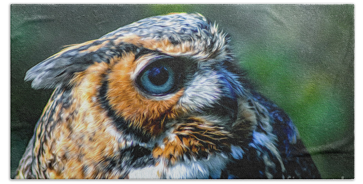 Nature Beach Towel featuring the photograph Great Horned Owl - Bubo Virginianus by DB Hayes