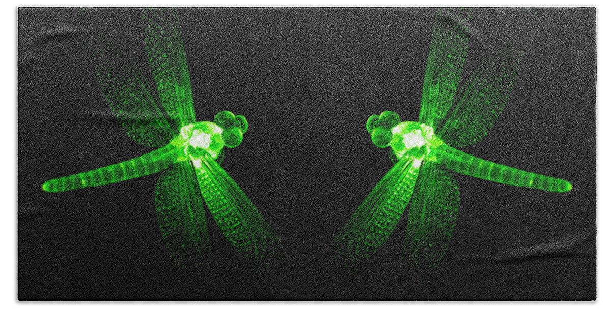 Animal Beach Towel featuring the photograph Green Glass Ornament Dragonflys Glowing at Night by John Williams