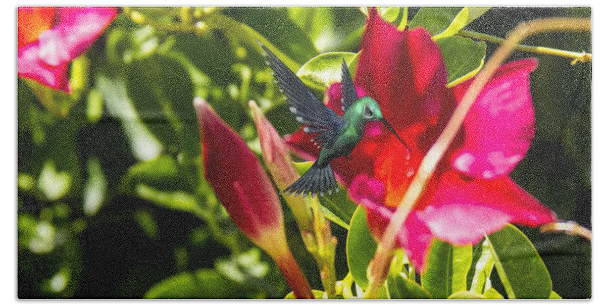 Green Hummingbird Beach Sheet featuring the photograph Green Hummingbird by Pat Cook