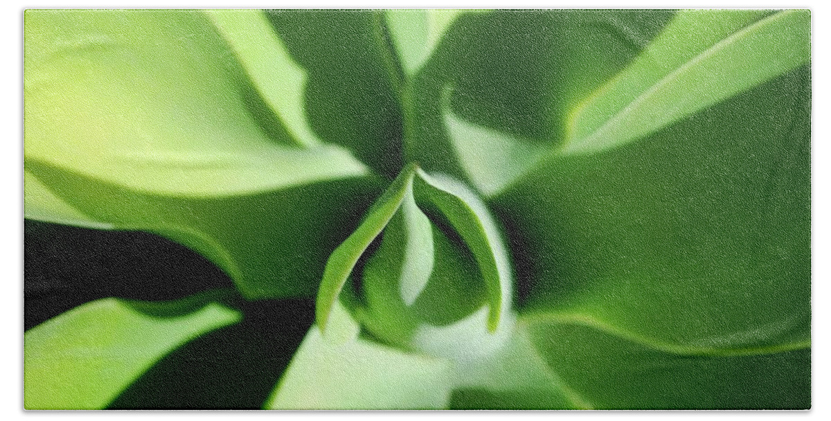 Plants Beach Sheet featuring the photograph Green Plant Abstract View by Matt Quest