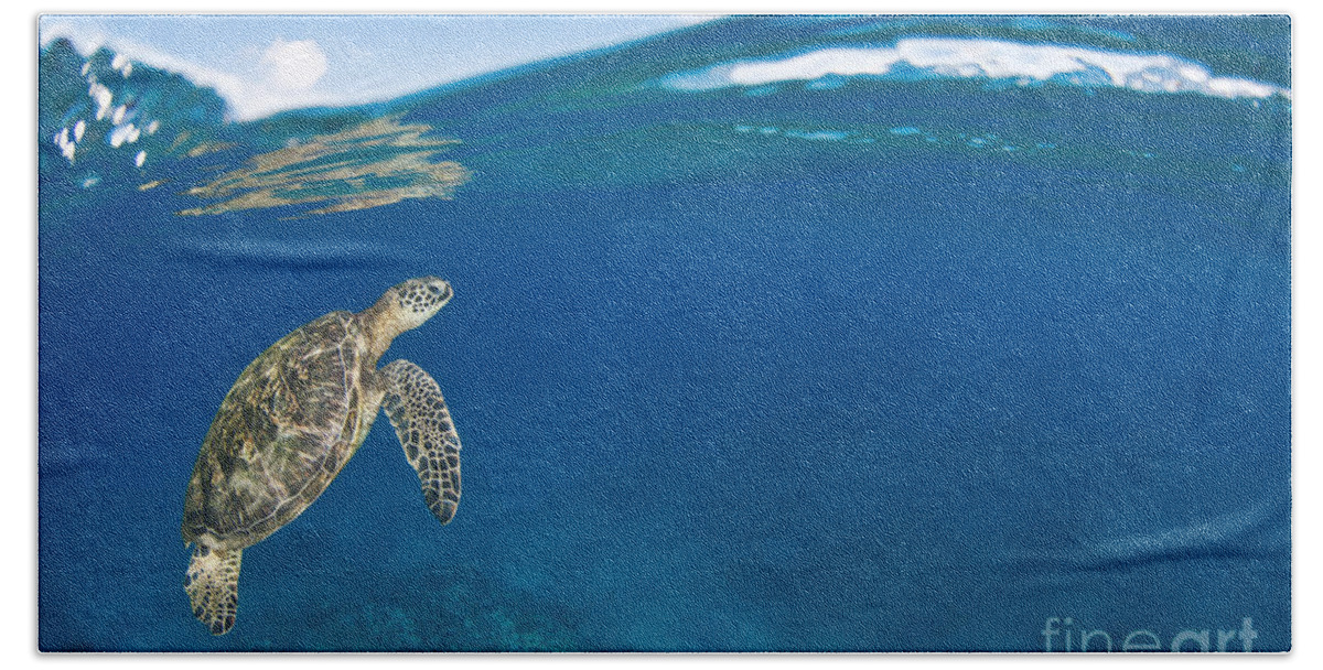 Animal Beach Towel featuring the photograph Green Sea Turtle at Surface by Dave Fleetham - Printscapes