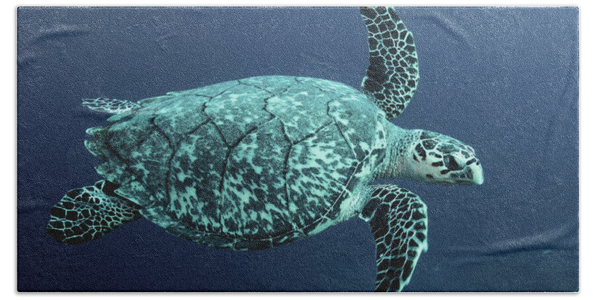 Turtle Beach Towel featuring the photograph Green Turtle by Roupen Baker