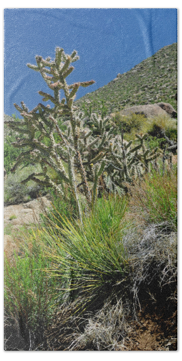 Landscape Beach Sheet featuring the photograph Greening of the High Desert by Ron Cline