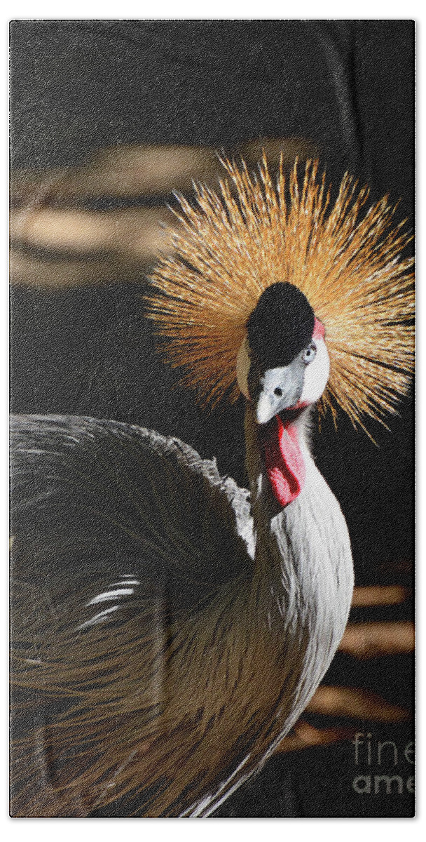 Wildlife Beach Towel featuring the photograph Grey Crowned Crane by Kathy Baccari