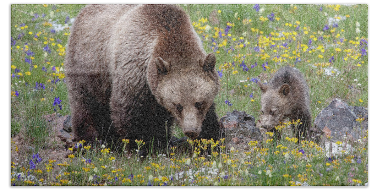 Mark Miller Photos Beach Towel featuring the photograph Grizzly Sow and Cub in Summer Flowers by Mark Miller