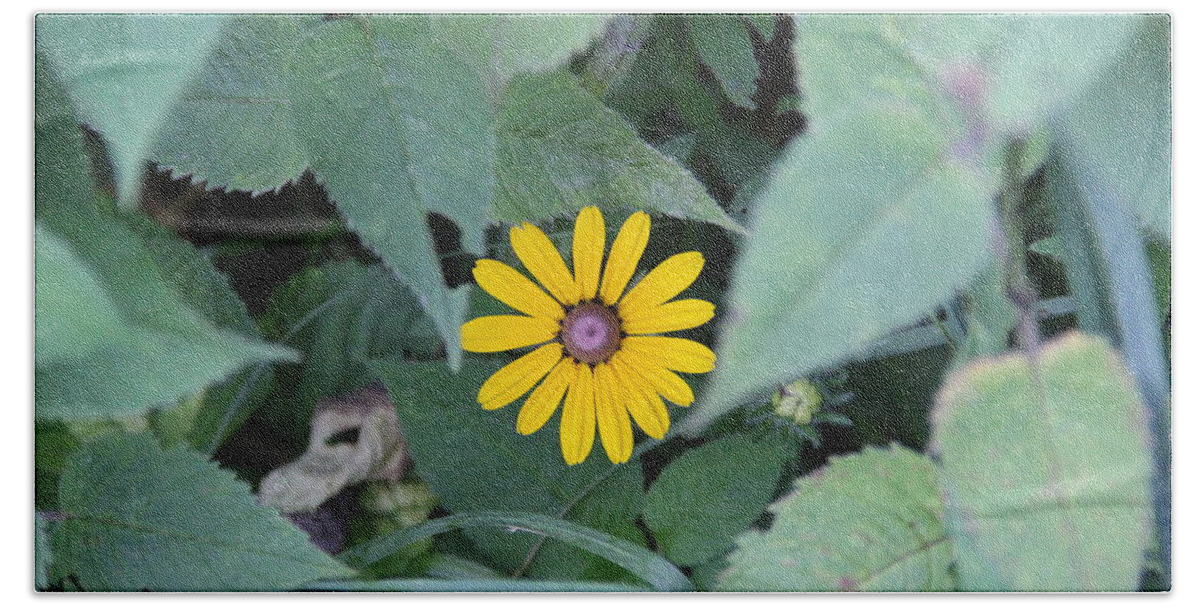 Black-eyed Susan Beach Sheet featuring the photograph Grow Where Your Planted by Allen Nice-Webb