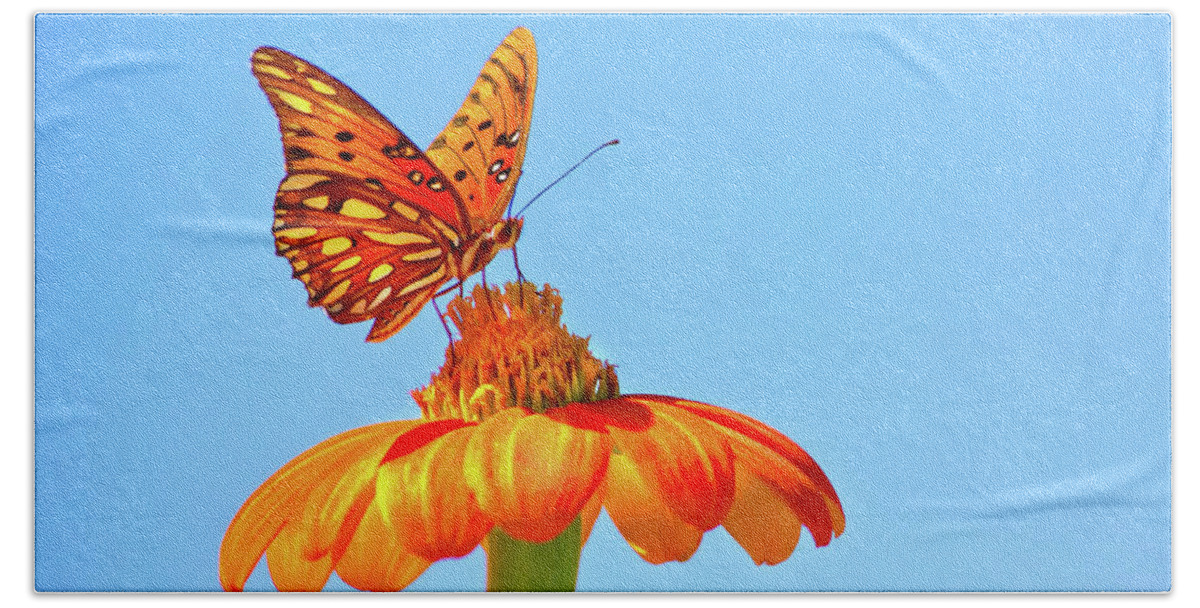 Butterfly Beach Towel featuring the photograph Gulf Fritillary Landing by Mark Andrew Thomas