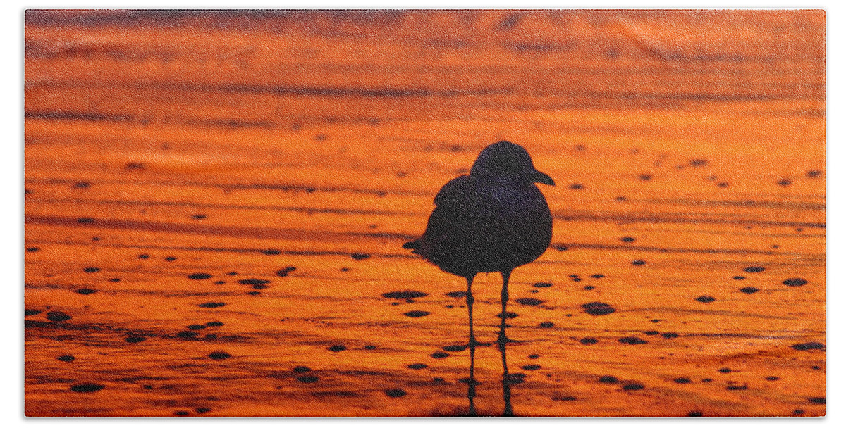 Great Beach Sheet featuring the photograph Gull caught at sunrise by Allan Levin