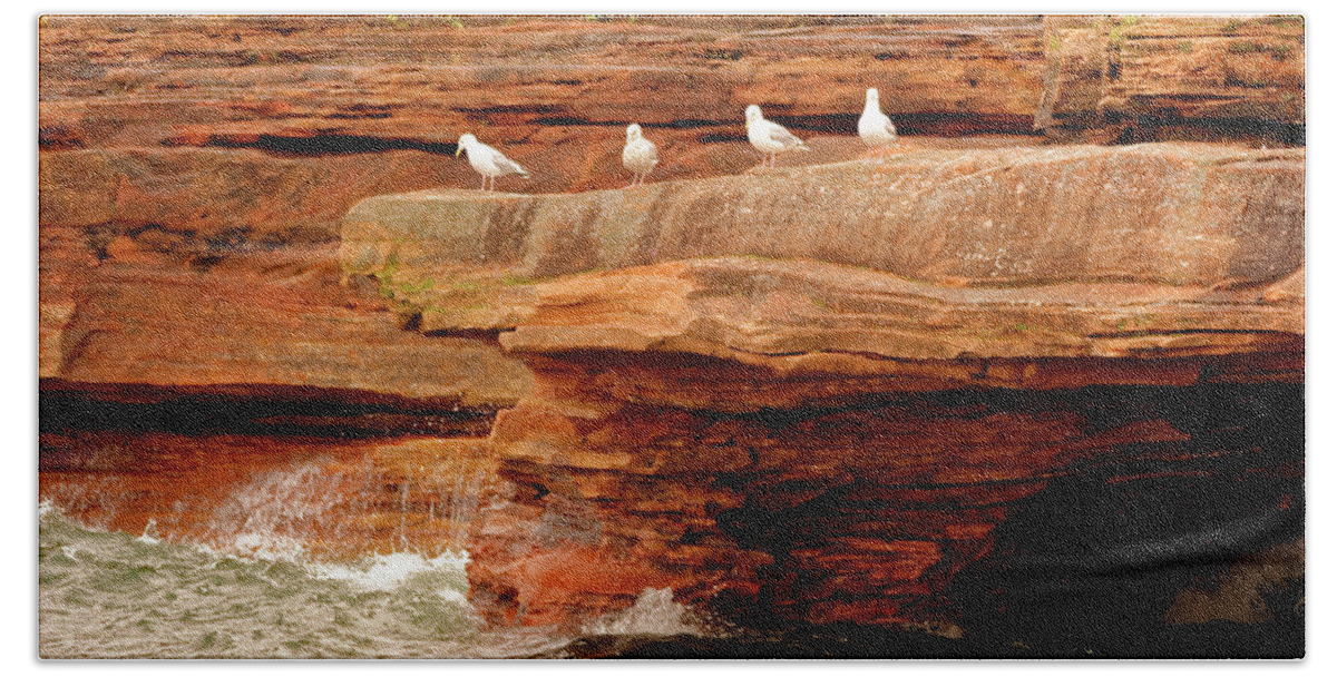 Gulls Beach Towel featuring the photograph Gulls on outcropping by Peter Ponzio