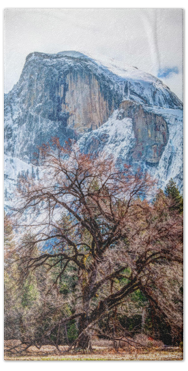 2017conniecooper-edwards Beach Towel featuring the photograph Half Dome Meadow Tree Winter by Connie Cooper-Edwards