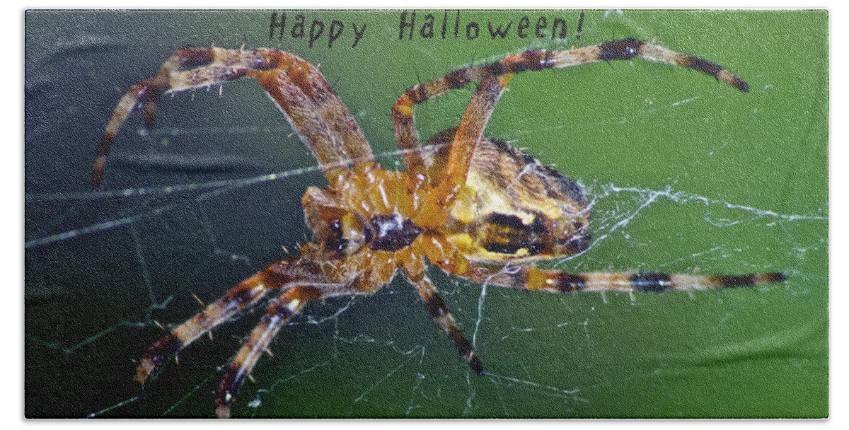 Spider Beach Towel featuring the photograph Halloween Spider by Michael Peychich