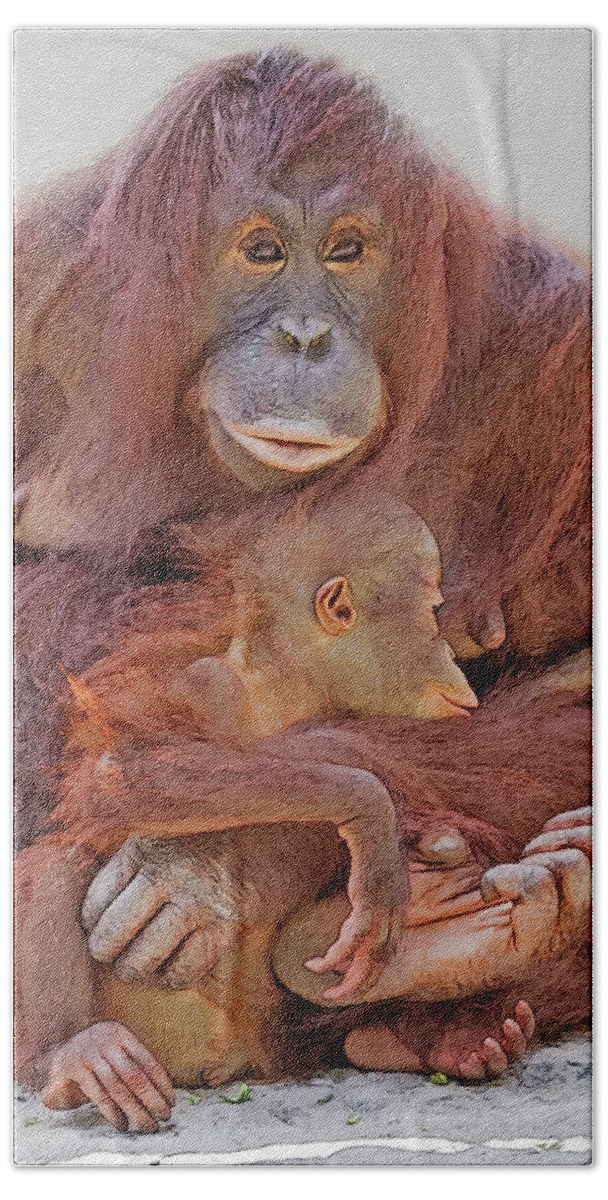 Orangutan Beach Sheet featuring the digital art Hands and Feet by Larry Linton