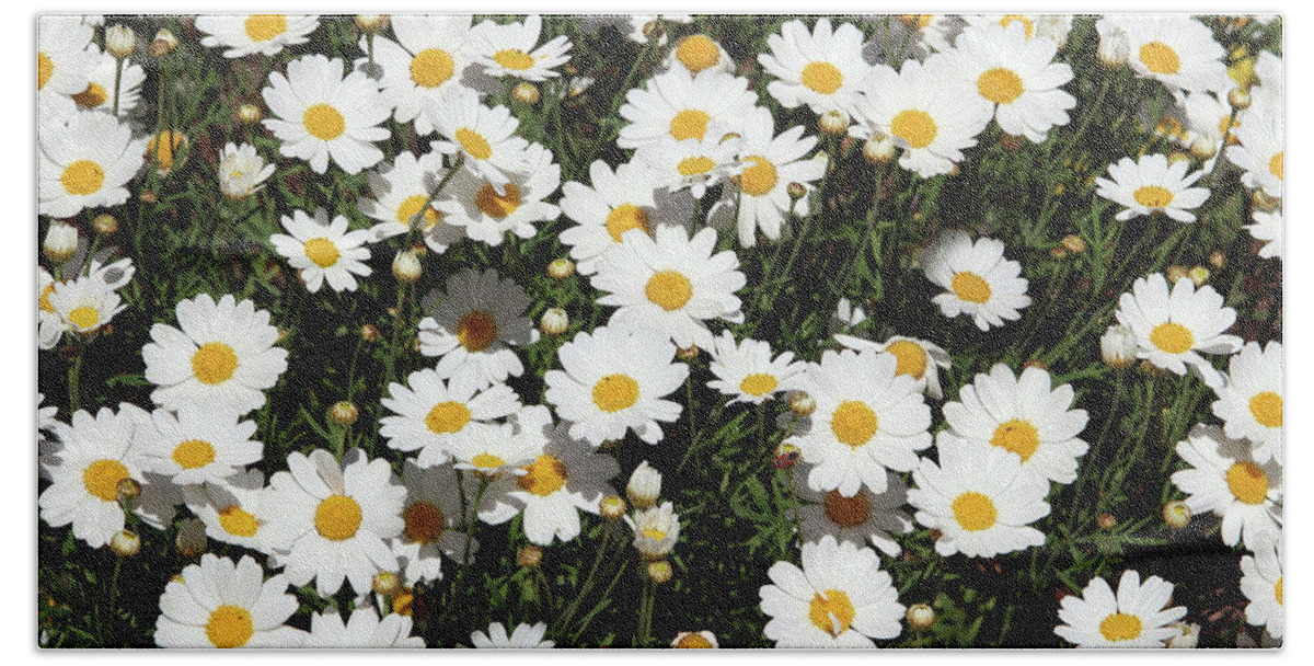 Daisy Beach Towel featuring the mixed media Happy Daisies- Photography by Linda Woods by Linda Woods