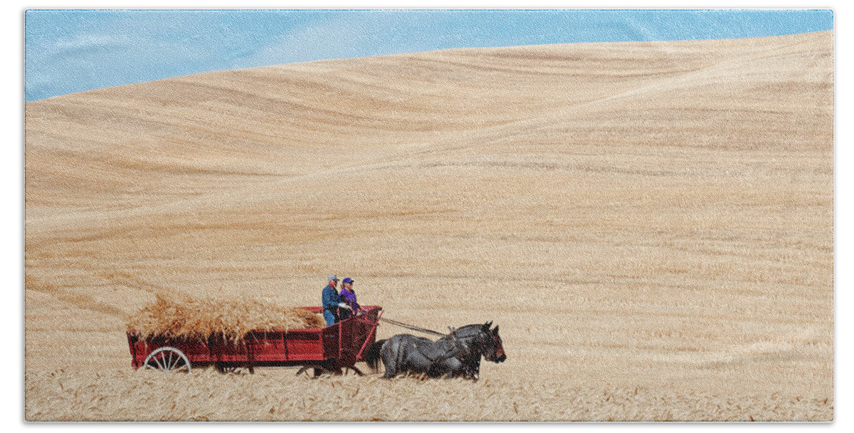 Thrashing Bee Beach Towel featuring the photograph Harvesting Day by Doug Davidson