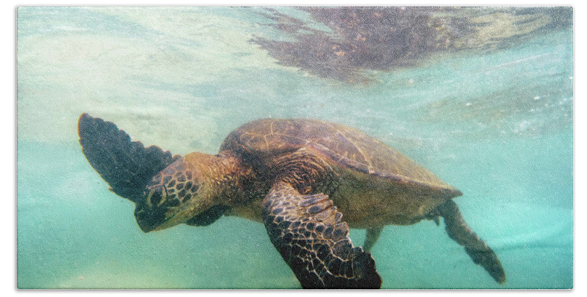 Turtle Beach Towel featuring the photograph Hawaiian Green Sea Turtle by Christopher Johnson