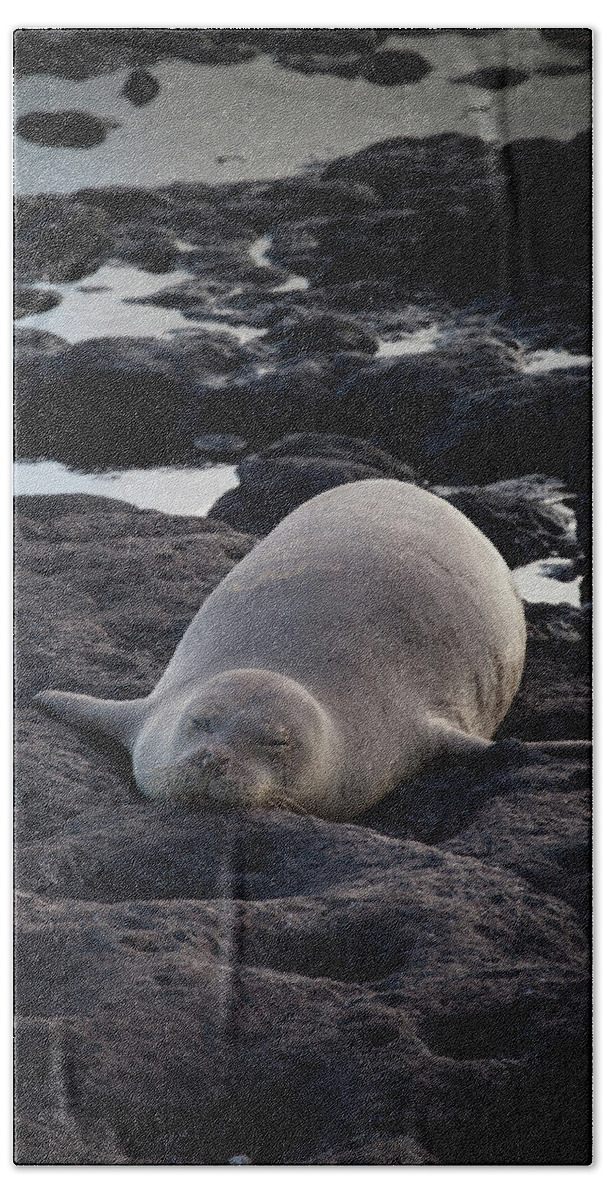 Hawaiian Beach Towel featuring the photograph Hawaiian Monk Seal by Roger Mullenhour
