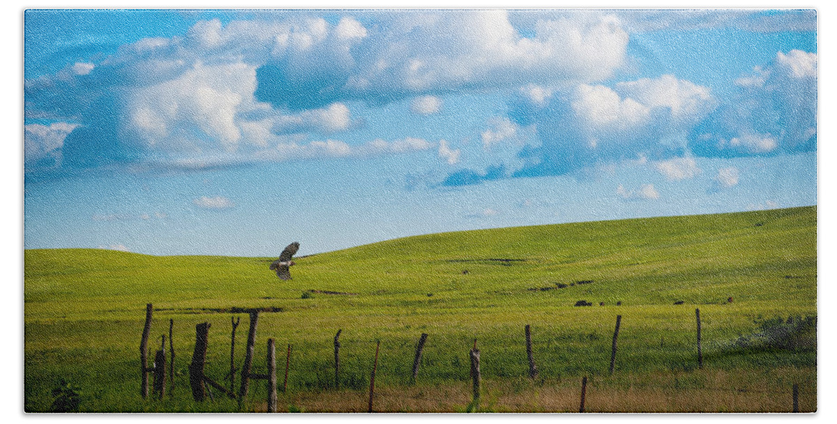 Nature Beach Towel featuring the photograph Hawk and Flint Hills by Jeff Phillippi