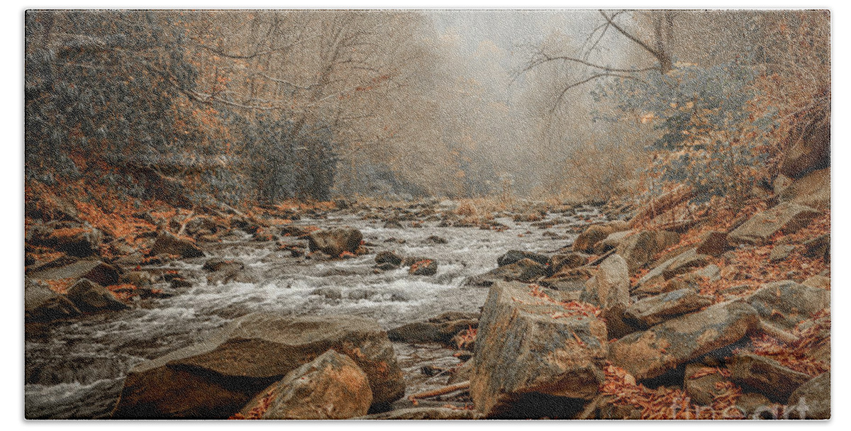 Mountain Beach Sheet featuring the photograph Hazy Mountain Stream #2 by Tom Claud