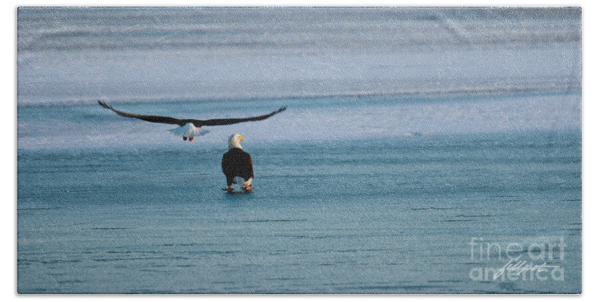 Bald Eagles Beach Towel featuring the photograph Heading Home by Bon and Jim Fillpot