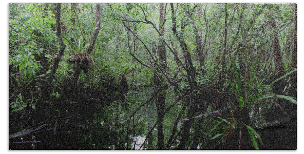 Swamp Beach Towel featuring the photograph Heart of the Swamp by Barbara Bowen