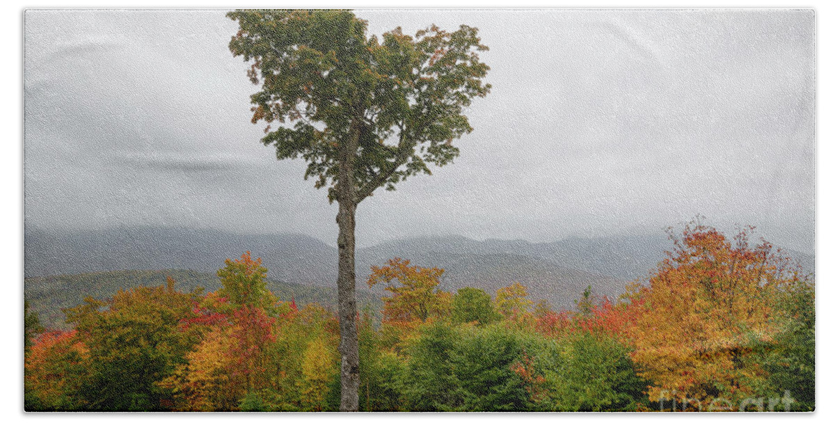 Autumn Beach Towel featuring the photograph Heart Tree - Kancamagus Highway, New Hampshire by Erin Paul Donovan