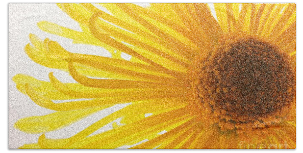 Daisy Beach Towel featuring the photograph Hello Sunshine by Julie Lueders 