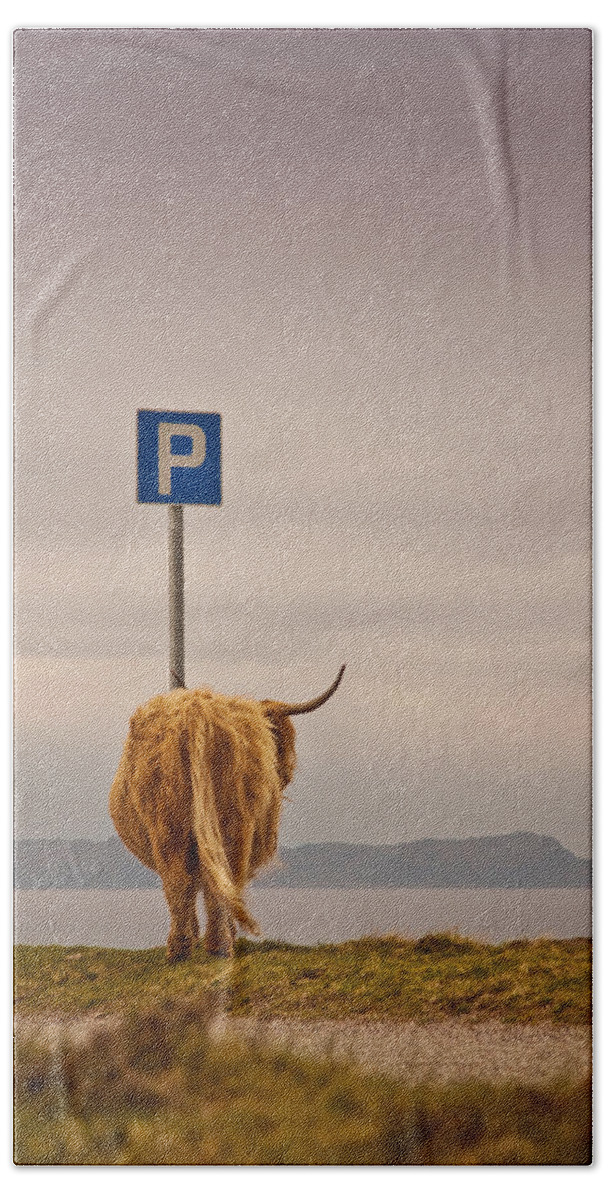 Whimsical Beach Towel featuring the photograph Her Favourite Pick-nick Spot In The Highlands by Dorit Fuhg