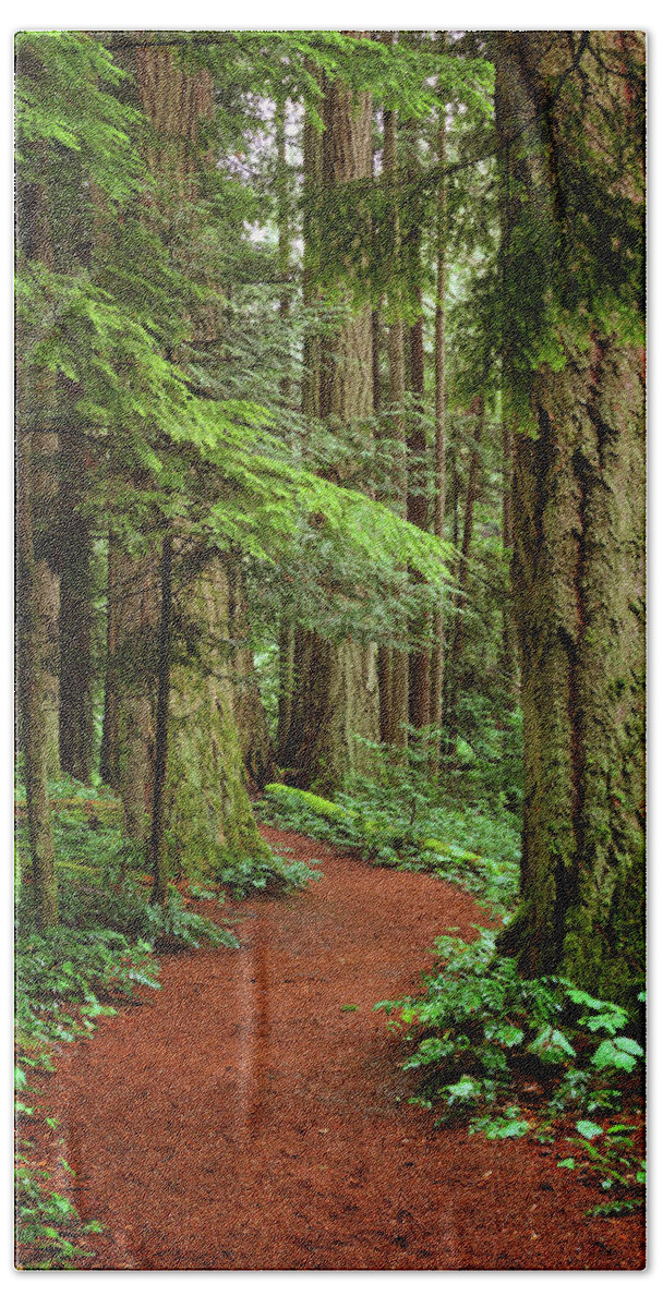 Forest Beach Sheet featuring the photograph Heritage Forest 2 by Randy Hall