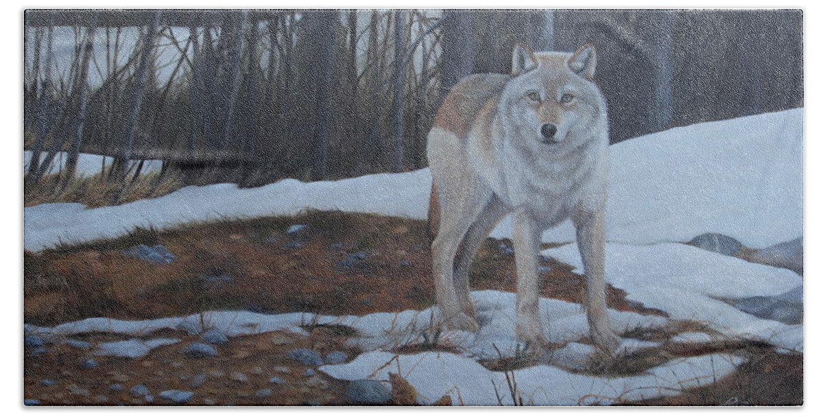 Timber Wolf Beach Towel featuring the painting Hesitation by Tammy Taylor