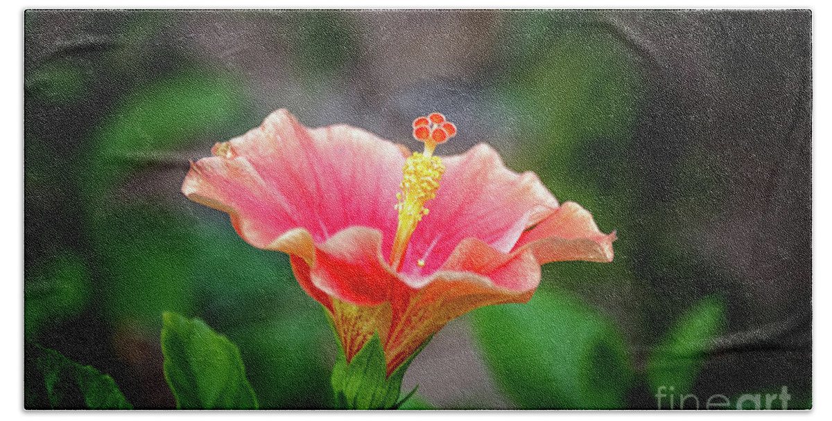 Michelle Meenawong Beach Sheet featuring the photograph Hibiscus rosa sinensis by Michelle Meenawong