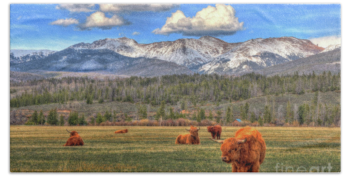 Nature Beach Towel featuring the photograph Highland Colorado by Scott Mahon