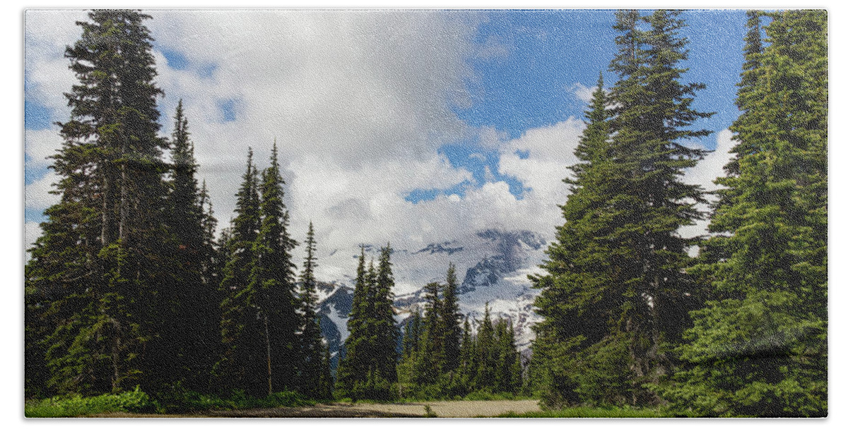 Washington Beach Towel featuring the photograph Hiking Path into the trees by Roslyn Wilkins