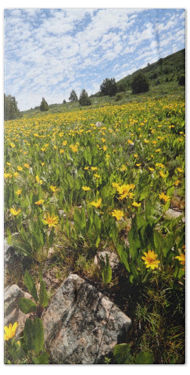 Flower Beach Towel featuring the photograph Hills of Yellow Flowers by Brett Pelletier