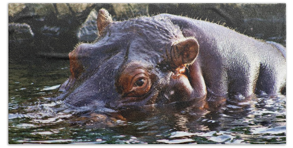 Hippo Beach Sheet featuring the photograph Hippo 3779_2 by Steven Ward