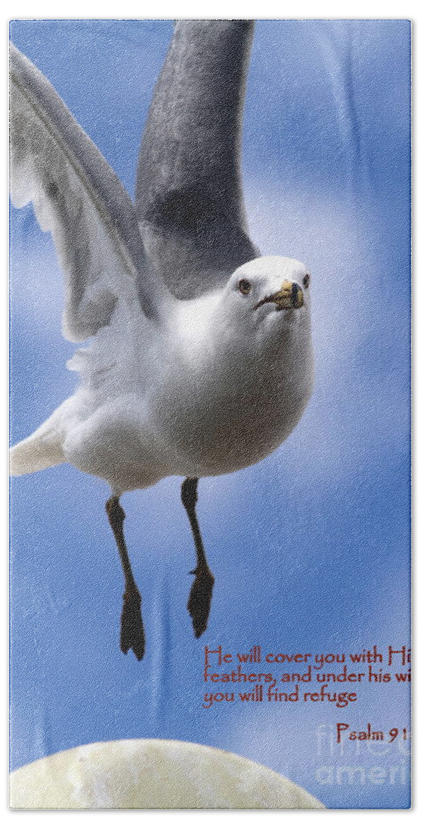 Seagull Beach Sheet featuring the photograph His Feathers by Rick Rauzi