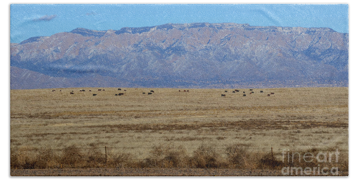 Southwest Landscape Beach Towel featuring the photograph Home on the range by Robert WK Clark