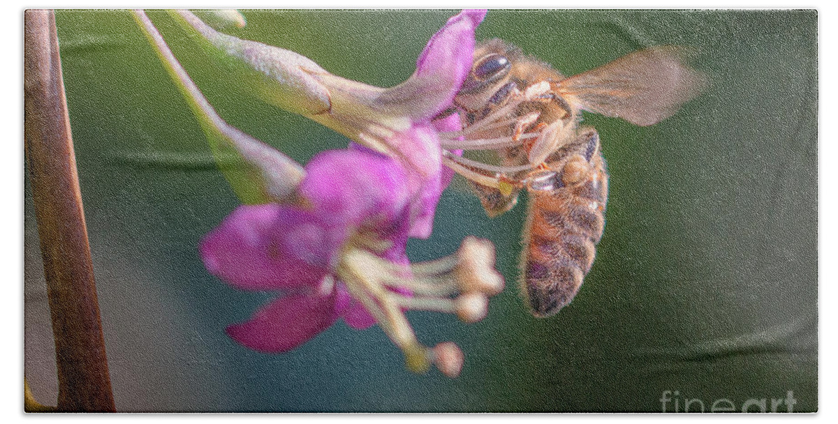 Animal Beach Towel featuring the photograph Honey bee on Goji berry flower by Jivko Nakev