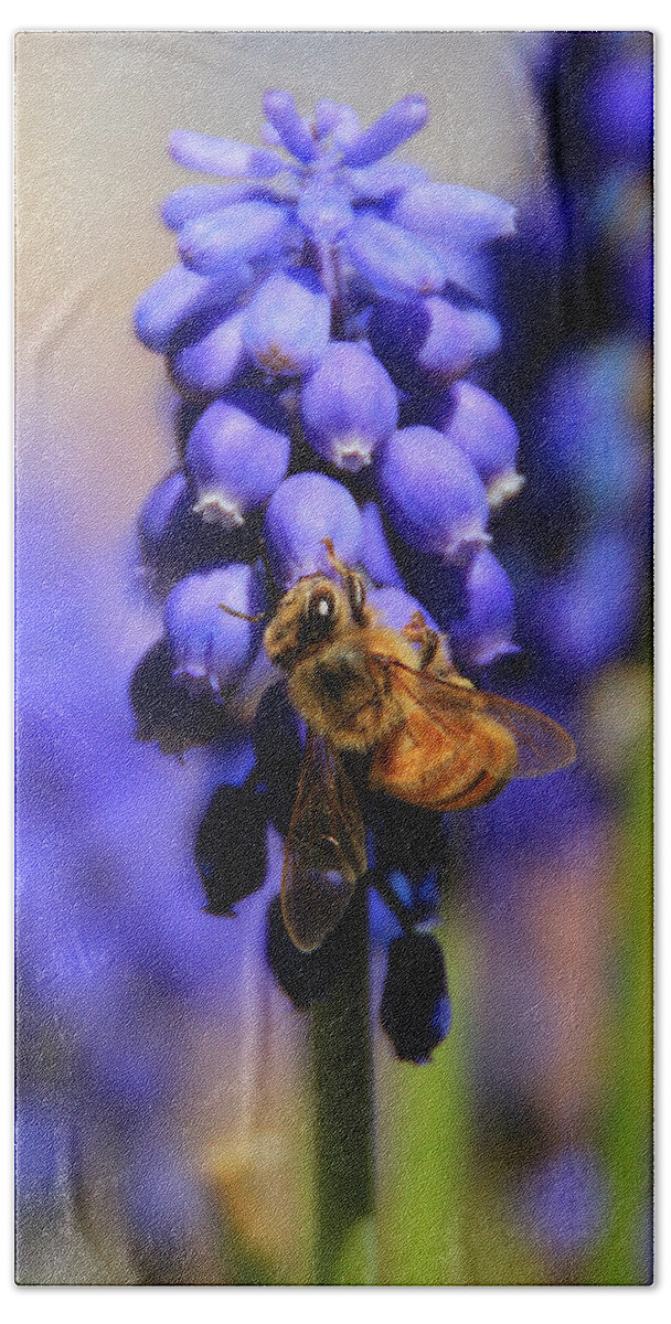 Honeybee Beach Towel featuring the photograph Honeybee in a Sea of Blue by Chris Berry