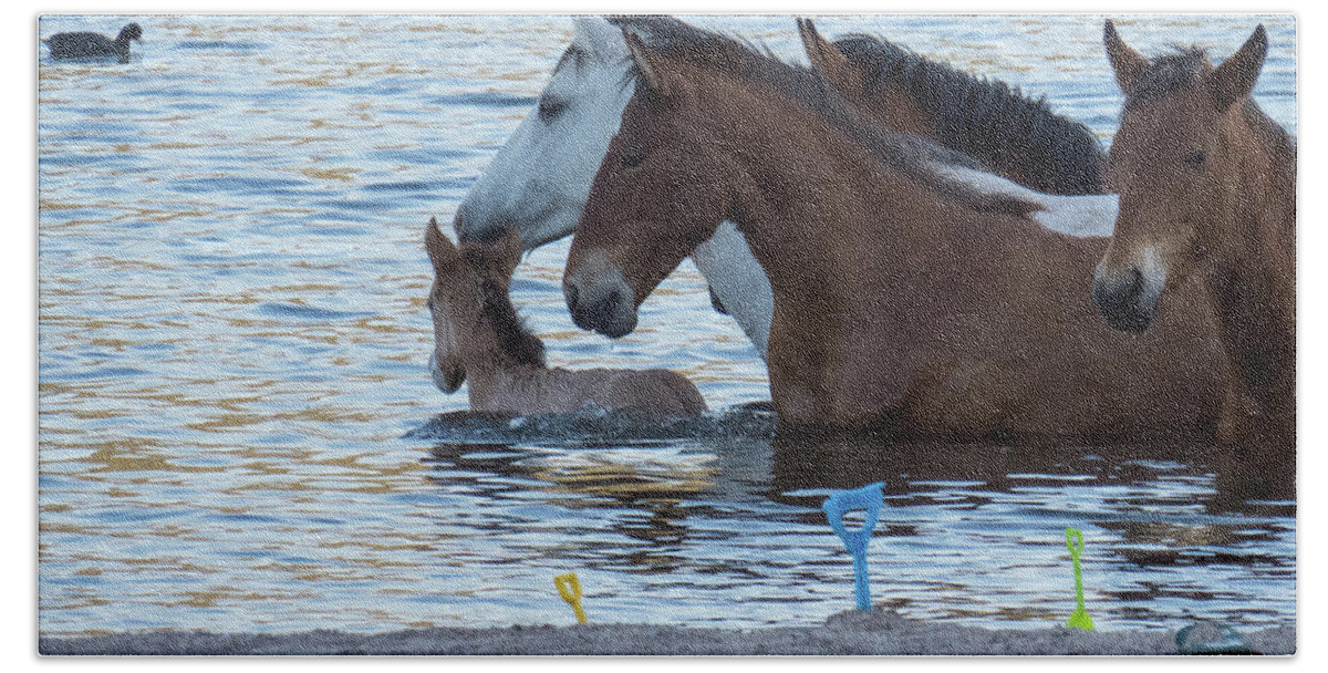 Horse Beach Towel featuring the photograph Horse 6 by Christy Garavetto
