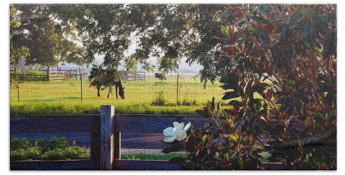 Pelican Beach Towel featuring the photograph Horse and Flower by Michael Thomas