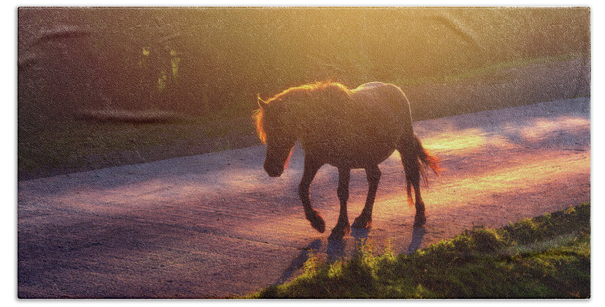Horse Beach Towel featuring the photograph Horse Crossing The Road At Sunset by Mikel Martinez de Osaba