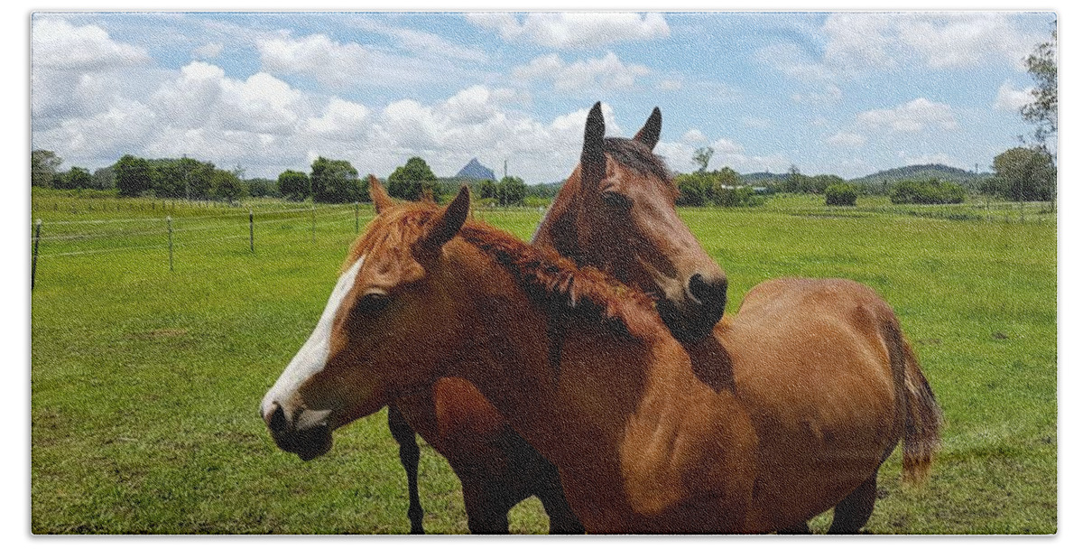 Horses Beach Sheet featuring the photograph Horse Cuddles by Cassy Allsworth