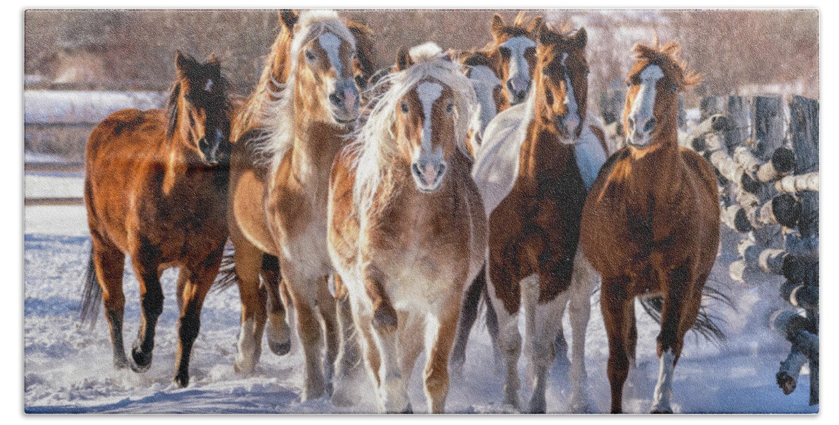 Horses Beach Towel featuring the photograph Horse Herd in Snow by David Soldano