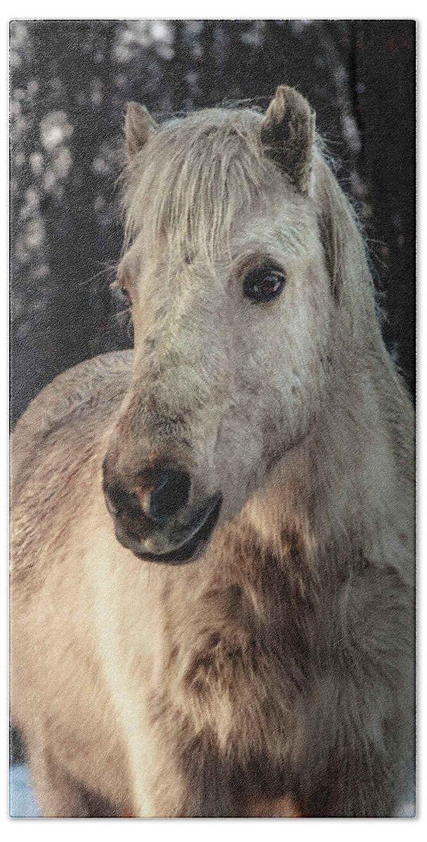 Animal Beach Towel featuring the photograph Horse portrait by Tim Abeln