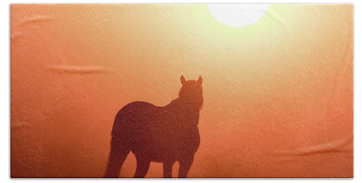 Silhouette Beach Towel featuring the photograph Horse Silhouette by Wesley Aston