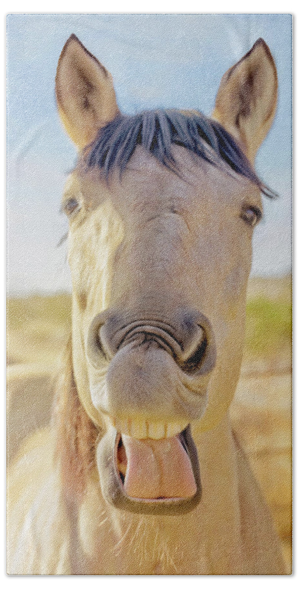 Horses Beach Sheet featuring the photograph Horse Talk #2 by Walter Herrit