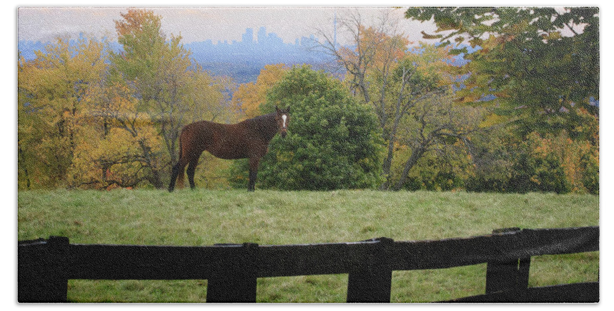 Gary Hall Beach Towel featuring the photograph Horse With A View by Gary Hall