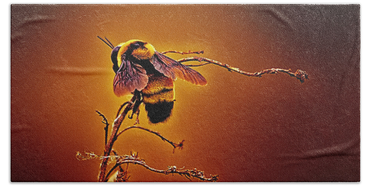 Bee Beach Towel featuring the photograph Hot Buzz by Bill and Linda Tiepelman
